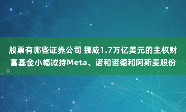 股票有哪些证券公司 挪威1.7万亿美元的主权财富基金小幅减持Meta、诺和诺德和阿斯麦股份