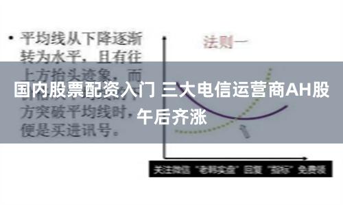 国内股票配资入门 三大电信运营商AH股午后齐涨